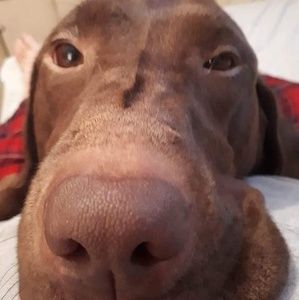 Meet your Posher, Janice